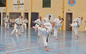 69f9bbc549529_IMG6363.JPG